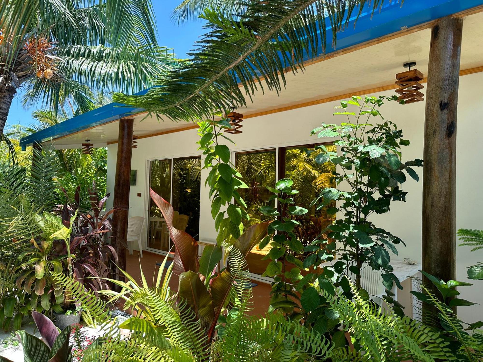 Blue Water Thoddoo Inn Exteriér fotografie
